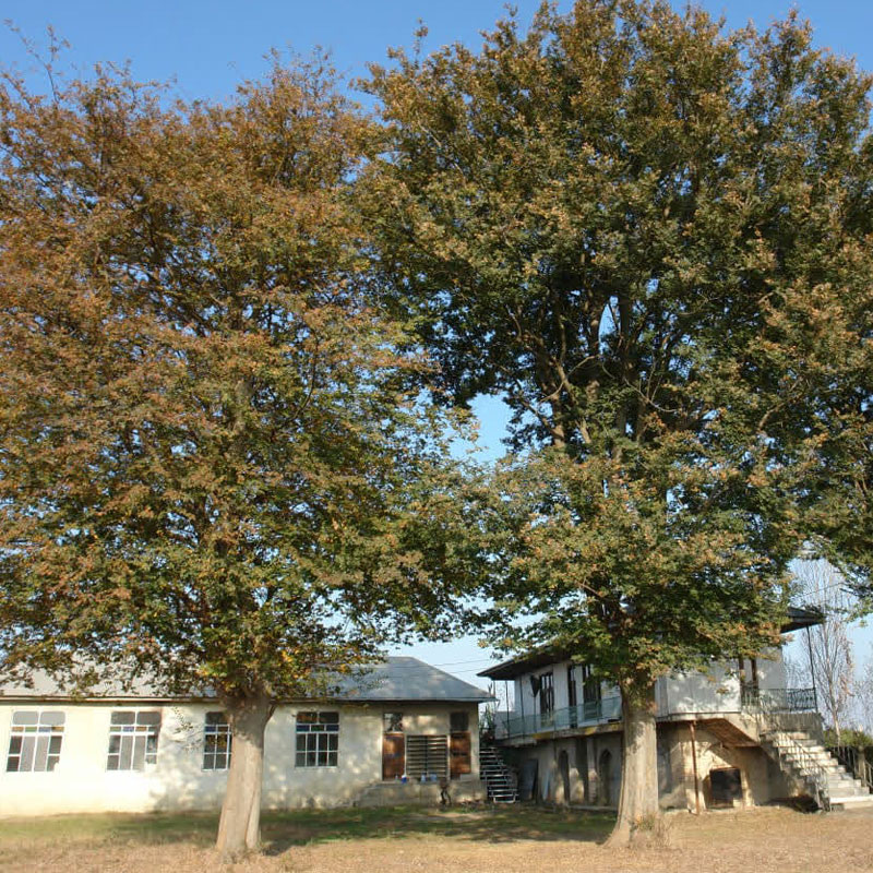 روستای گل باغ در بابل