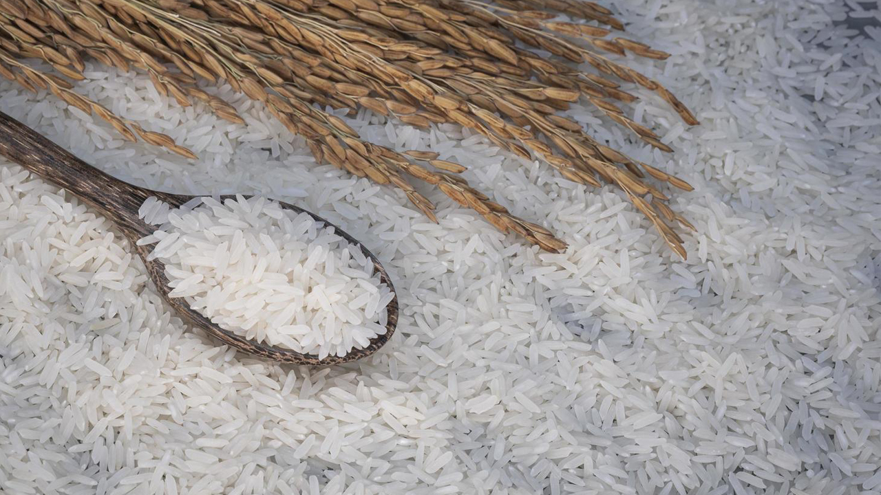 Rice